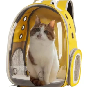 Cute Cartoon Cat Bag